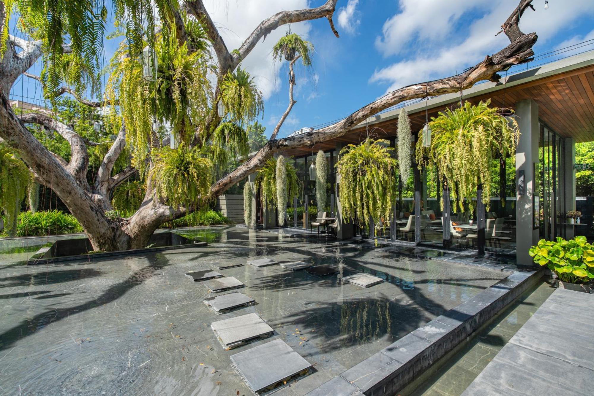 V Villas Hua Hin - Mgallery Collection Eksteriør billede